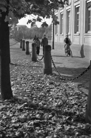 Herbststimmung am Schlossplatz