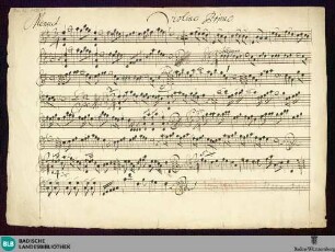 Suites - Mus. Hs. 1130,27