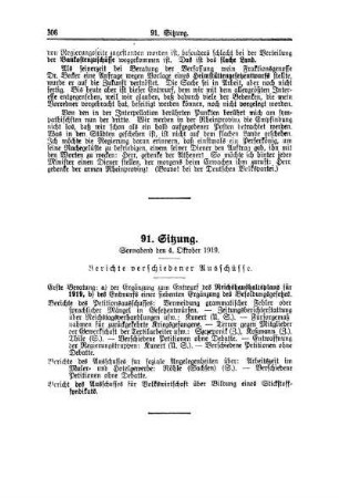 91. Sitzung. Sonnabend den 4. Oktober 1919