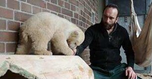 Knut und seine Freunde
