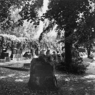 Jüd. Friedhof; Bad Camberg, Kapellenstraße