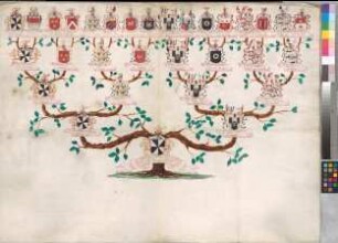 Proband: Seyssel d'Aix, Maximilian Claudius Maria Graf von; Vater: Seyssel d'Aix, Johann Claudius Graf von; Mutter: Salburg, Maria Anna Gräfin von: Mark, Grafschaft, Ritterschaft