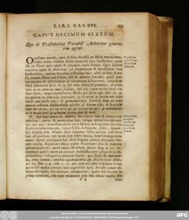 Caput Decimum Sextum, Qiúo de Praestantibus Paradisi Arboribus generatim agitur.