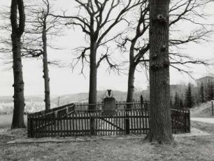Denkmal, Schneeberg (Kreis Schneeberg)