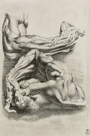 Anatomische Darstellung von Armen und Händen