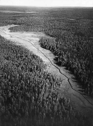 Taiga-Landschaft : Nadelwald und natürlich begradigter Boden mit Mäandern in der russischen Taiga im Oblast Archangelsk.
