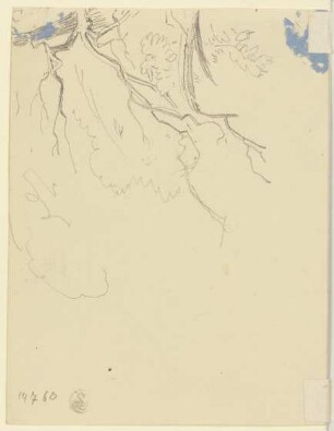 Baum (Fragment)