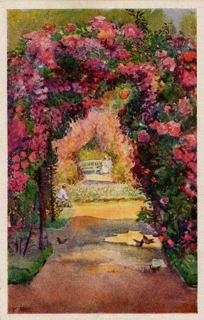 Postkartenalbum mit Motiven von Karlsruhe. "Stadtgarten Karlsruhe". Rosengarten im Stadtgarten