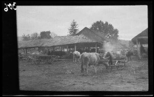 Câmpulung (Rumänien): Viehunterstand mit Leiterwagen (Rückansicht, Distanzaufnahme)