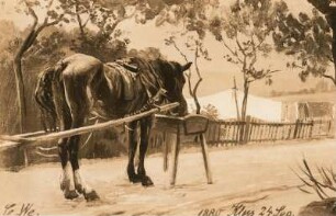 Pferd auf der Landstraße : Pferd auf der Landstraße. Ölgemälde (1880; C. W. Müller)