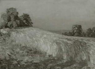 Reifendes Kornfeld