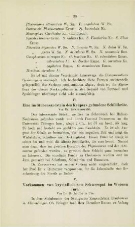 Eine Stubensandstein des Keupers gefundene Schildkröte (Zakrszewski)