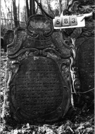 Grabstein 583 (Index: 99753076) Material: Sandstein Zustand: leicht verwittert Maße HxBxT: 116x68x10 cm Beschreibung: Stele, geschwungen eingezog. Rundbogenabschluß, ovales Schriftfeld Symbolik: Muschel, Ranken, Schriftband: Grabstein 583