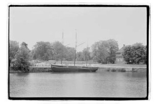 Alve (1960)