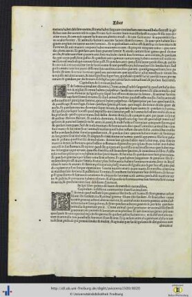 Incipit liber quintus...