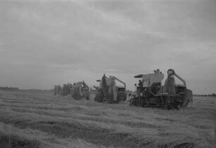 Rambin. Landwirtschaftliche Produktionsgenossenschaft (LPG), Mähdrescher bei der Arbeit auf dem Feld