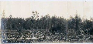 Foto eigener Stellungen mit Drahthindernissen östlich von Riga (linker mittlerer Bildteil)