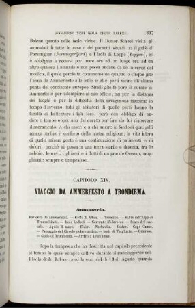 CAPITOLO XIV. VIAGGIO DA AMMERFESTO A TRONDIEMA.