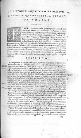 Historia Quadragesima Octava. De Aquila
