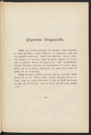 Esperens Bergamotte