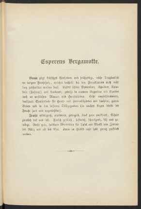 Esperens Bergamotte