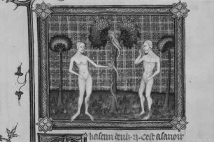 Bible Historiale — Der Sündenfall, Folio 9verso