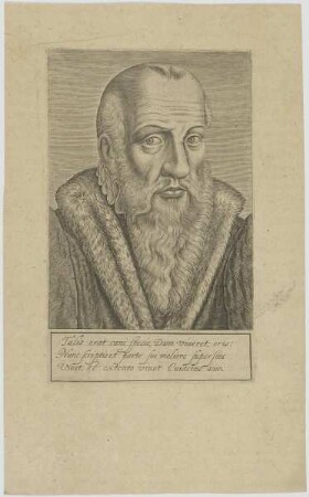 Bildnis des Cuiacius