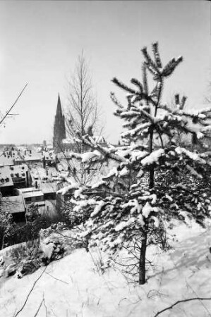 Freiburg: Blick vom Schlossberg auf verschneite Sträucher und Münster