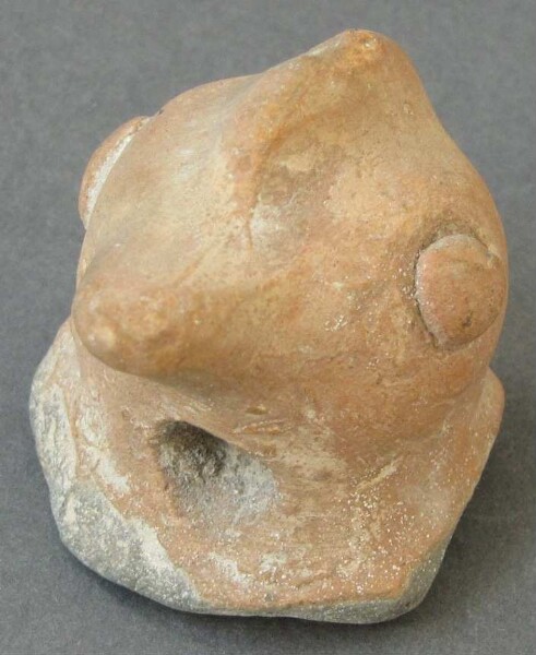 Animal head made of clay