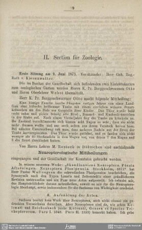 Neuropterologische Mittheilungen. Berichtigungen und Zusätze