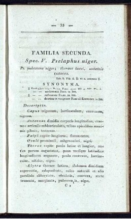 Familia Secunda. Spec. V. Pselaphus niger.