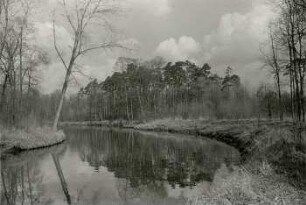 In den Schönen bei Großzschocher an der Elster, Ostern 1959