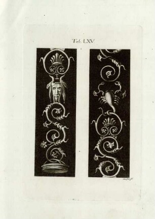 Tab. LXV.