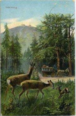 Rehe im Wald