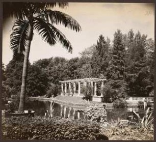 Fotoalbum: Deutsche Gartenbau- und Schlesische Gewerbe-Ausstellung (GUGALI), Liegnitz: Heizbarer Teich und Palmenhain, Abschnitt 2