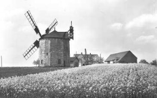 Weißensee. Holländermühle, Baujahr 1862, Ansichtskarte
