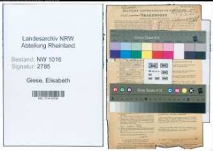 Entnazifizierung Elisabeth Giese , geb. 17.06.1900 (Lehrerin)