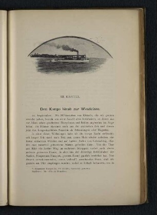 XII. Kapitel. Den Kongo hinab zur Westküste.