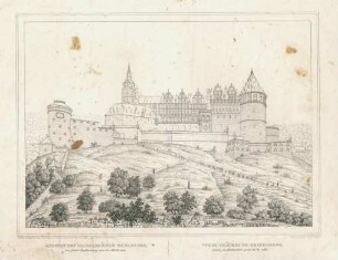 Ansicht des Heidelberger Schlosses, vor seiner Zerstoerung von der Stadt aus - Vue du Château de Heidelberg, avant sa destruction prise de la ville