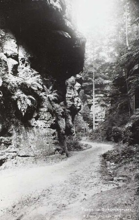 Sächsische Schweiz, Rathener Gebiet. Zscherregrund