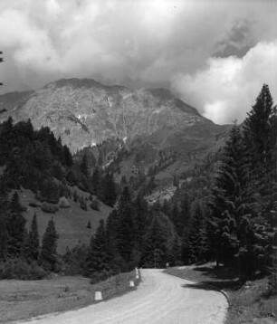 Kärnten. Karnische Alpen. Neue Plöckenstraße gegen Plöckenpaß (1360 m)