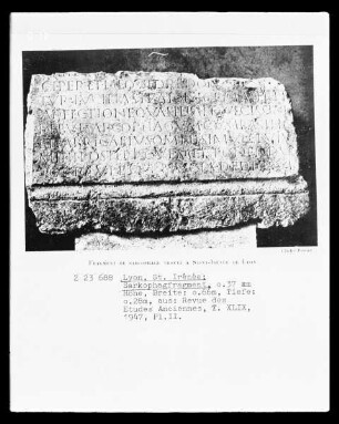 Fragment eines Sarkophages