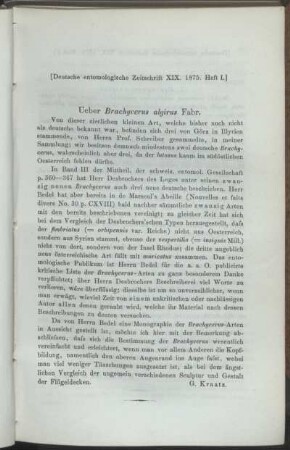Ueber Brachycerus algirus Fabr.