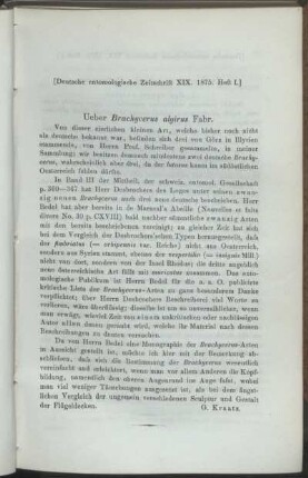 Ueber Brachycerus algirus Fabr.