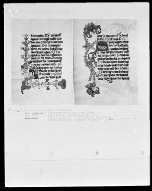 Gebetbuch der Prinzessin Sibylla von Kleve — Initiale S mit anschließender Ranke, Folio 80verso