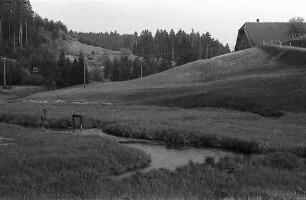 Brigach bei Stockburg