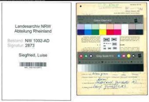 Entnazifizierung Luise Siegfried, geb. 19.12.1897 (Krankenschw.)