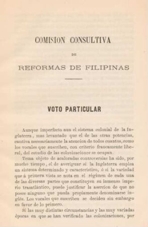 Comision consultiva de reformas de Filipinas. Voto particular
