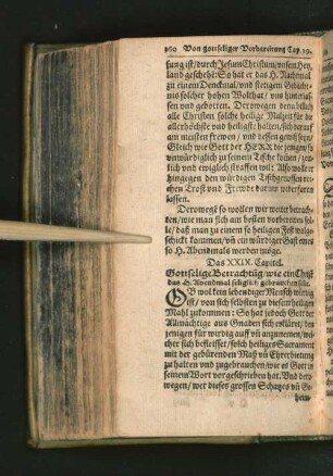[Das XXIX. Capitel. - Das XXXI. Capitel.]