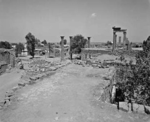 Nymphaeum